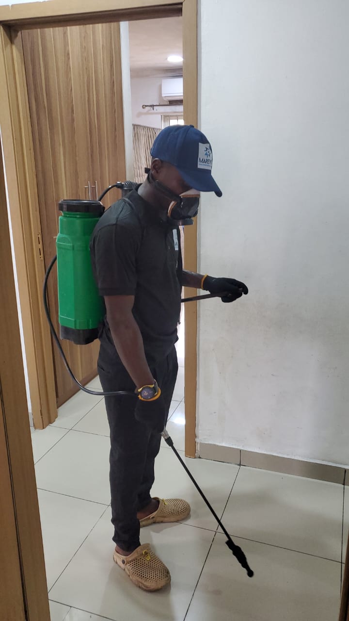 Maren's specialist performing fumigation services